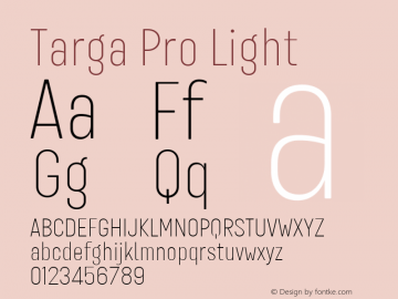 Targa Pro Light Version 3.003图片样张