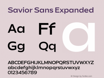 Savior Sans Expanded Version 1.000图片样张