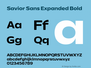 Savior Sans Expanded Bold Version 1.000图片样张