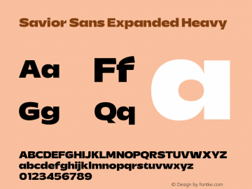 Savior Sans Expanded Heavy Version 1.000图片样张