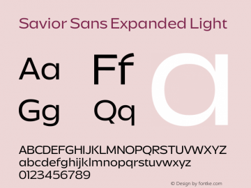 Savior Sans Expanded Light Version 1.000图片样张