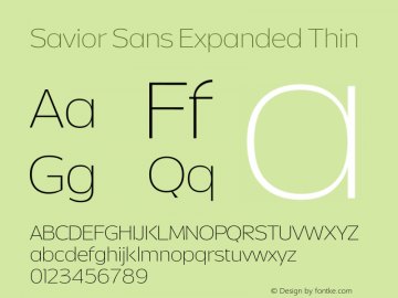 Savior Sans Expanded Thin Version 1.000图片样张