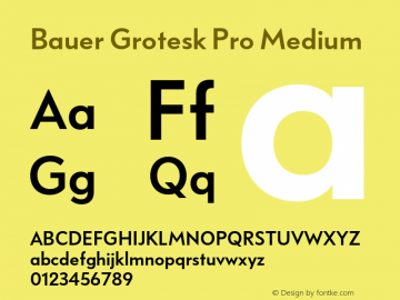 Bauer Grotesk Pro Medium Version 7.700, build 1040, FoPs, FL 5.04图片样张