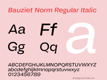 Bauziet Norm Regular Italic Version 1.000;hotconv 1.0.109;makeotfexe 2.5.65596图片样张