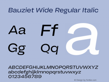 Bauziet Wide Regular Italic Version 1.000;hotconv 1.0.109;makeotfexe 2.5.65596图片样张