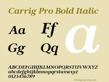 Carrig Pro Bold Italic Version 3.000;PS 003.000;hotconv 1.0.88;makeotf.lib2.5.64775图片样张