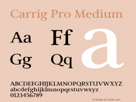 Carrig Pro Medium Version 3.000;PS 003.000;hotconv 1.0.88;makeotf.lib2.5.64775图片样张