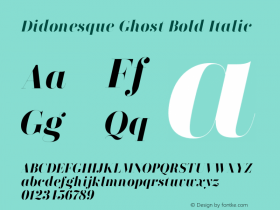 Didonesque Ghost Bold Italic Version 1.000;PS 001.000;hotconv 1.0.88;makeotf.lib2.5.64775图片样张