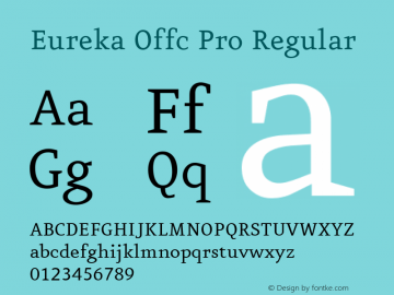 Eureka Offc Pro Version 7.504; 2011; Build 1020图片样张