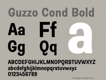 Guzzo Cond Bold Version 1.00图片样张