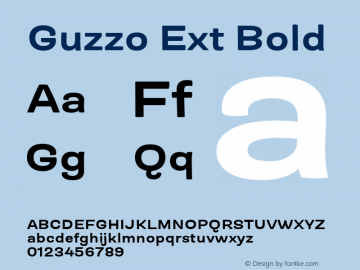 Guzzo Ext Bold Version 1.00图片样张