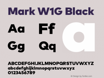 Mark W1G Black Version 1.00, build 8, g2.6.4 b1272, s3图片样张