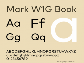 Mark W1G Book Version 1.00, build 8, g2.6.4 b1272, s3图片样张