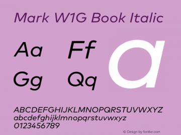 Mark W1G Book Italic Version 1.00, build 8, g2.6.4 b1272, s3图片样张