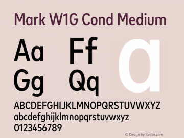 Mark W1G Cond Medium Version 1.00, build 9, g2.6.4 b1272, s3图片样张