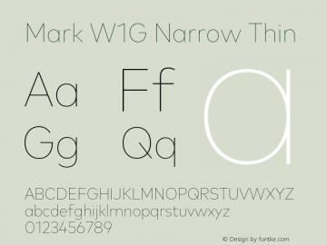 Mark W1G Narrow Thin Version 1.00, build 8, g2.6.4 b1272, s3图片样张