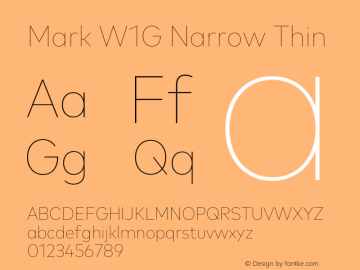 Mark W1G Narrow Thin Version 1.00, build 8, g2.6.4 b1272, s3图片样张