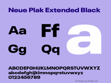 Neue Plak Extended Black Version 1.00, build 9, s3图片样张