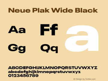 Neue Plak Wide Black Version 1.00, build 9, s3图片样张