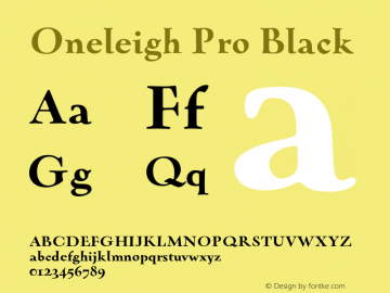 OneleighPro-Black Version 7.504; 2008图片样张