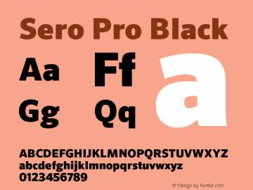 Sero Pro Black Version 7.70图片样张