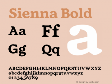 Sienna Bold Version 1.000;FEAKit 1.0图片样张