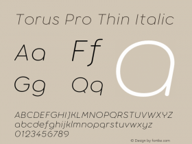 Torus Pro Thin Italic Version 1.000;FEAKit 1.0图片样张