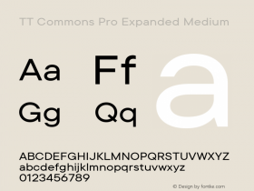 TT Commons Pro Expanded Medium Version 3.000.09052021图片样张