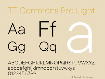 TT Commons Pro Light Version 3.000.09052021图片样张