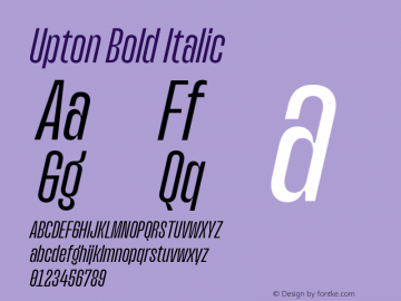 Upton Normal Italic Version 1.000;hotconv 1.0.109;makeotfexe 2.5.65596图片样张