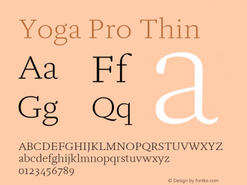 Yoga Pro Thin Version 7.600, build 1028, FoPs, FL 5.04图片样张