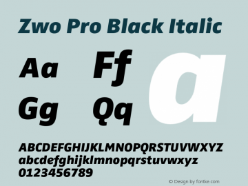 ZwoPro-BlackItalic Version 7.504; 2007; Build 1023图片样张