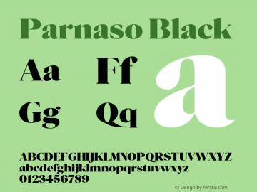 Parnaso Black Version 1.000;PS 1.0;hotconv 1.0.70;makeotf.lib2.5.58329 DEVELOPMENT图片样张
