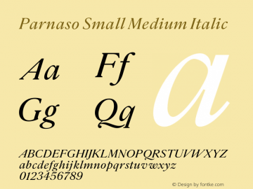 Parnaso Small Medium Italic Version 1.000;FEAKit 1.0图片样张