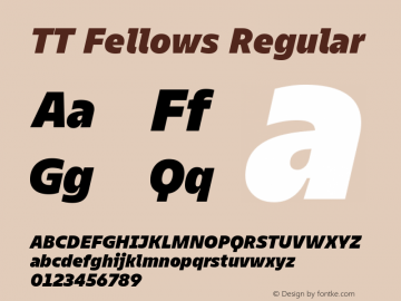 TT Fellows ExtraBold Italic Version 1.00图片样张