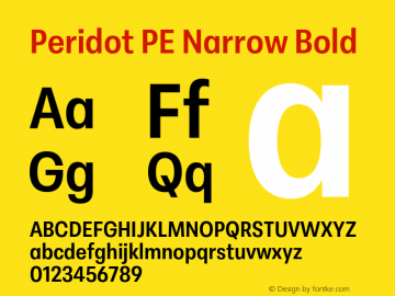 Peridot PE Narrow Bold Version 1.000 | web-otf图片样张