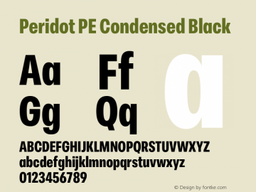 Peridot PE Condensed Black Version 1.000 | web-otf图片样张