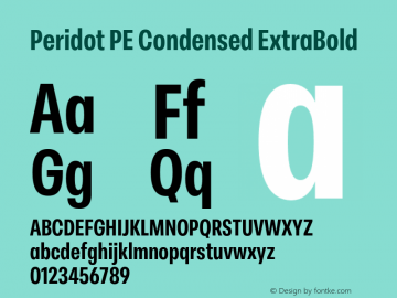 Peridot PE Condensed ExtraBold Version 1.000 | web-otf图片样张