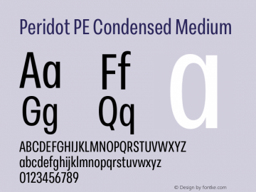 Peridot PE Condensed Medium Version 1.000 | web-otf图片样张