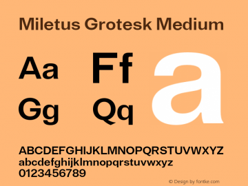 Miletus Grotesk Medium Version 1.000;FEAKit 1.0图片样张