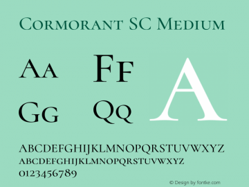 Cormorant SC Medium Version 3.615;FEAKit 1.0图片样张