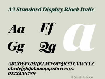 A2 Standard Display Black Italic Vesion 1.001图片样张