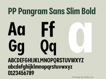 PP Pangram Sans Slim Bold Version 2.000 | FøM Fix图片样张