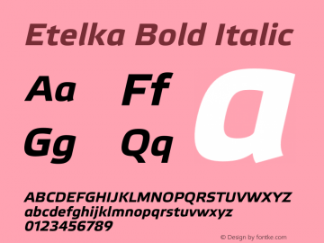 Etelka Bold Italic Version 1.000 2022 | web-otf图片样张