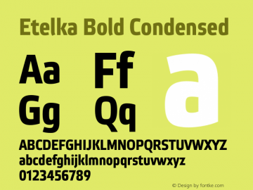 Etelka Bold Condensed Version 1.000 2022 | web-otf图片样张
