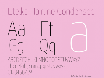 Etelka Hairline Condensed Version 1.000 2022 | web-otf图片样张