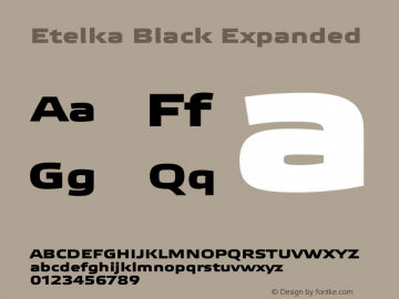 Etelka Black Expanded Version 1.000 2022 | web-otf图片样张