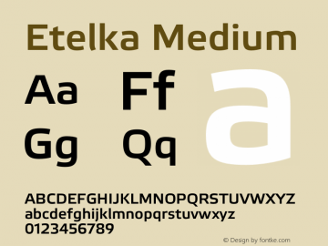 Etelka Medium Version 1.000 2022 | web-otf图片样张