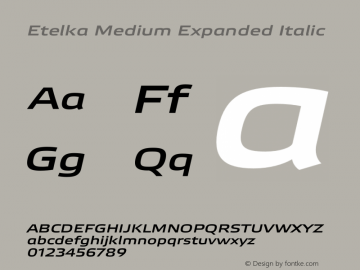 Etelka Medium Expanded Italic Version 1.000 2022 | web-otf图片样张