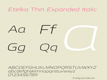 Etelka Thin Expanded Italic Version 1.000 2022 | web-otf图片样张